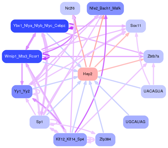 PNG image of the network