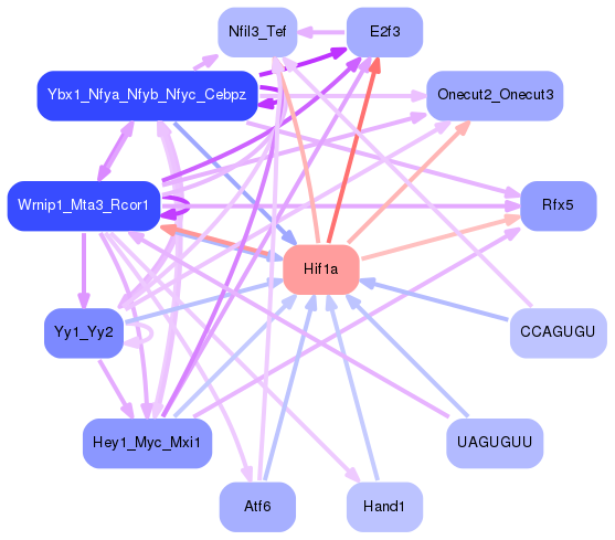 PNG image of the network