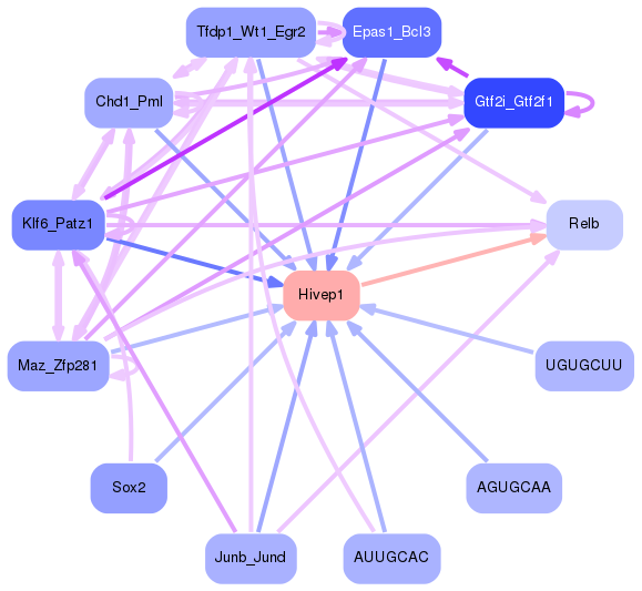 PNG image of the network