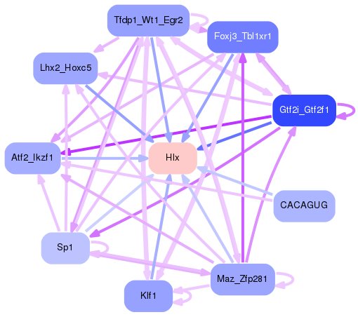 PNG image of the network