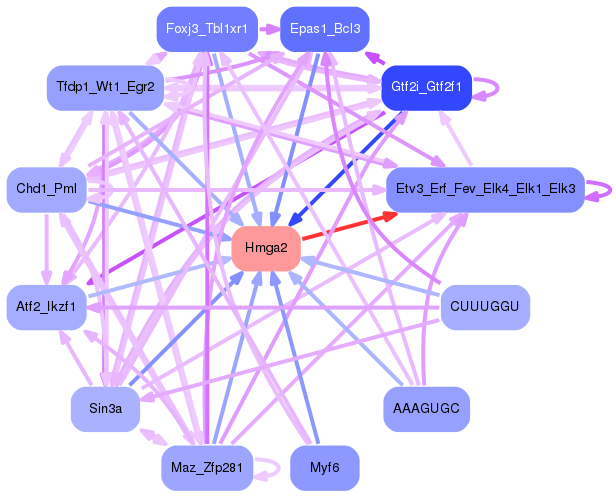 PNG image of the network