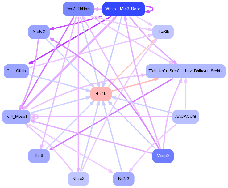 PNG image of the network
