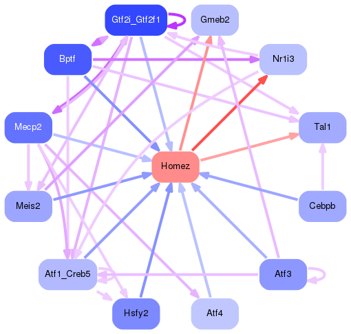 PNG image of the network