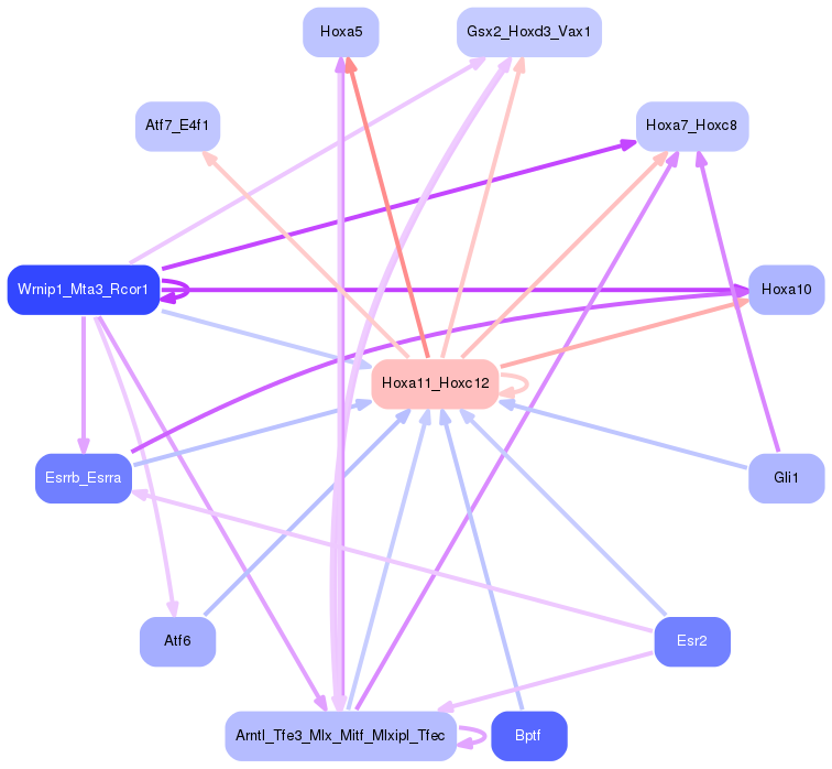 PNG image of the network