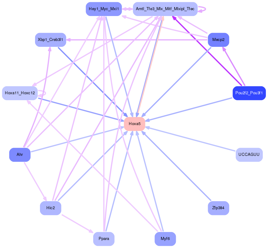 PNG image of the network