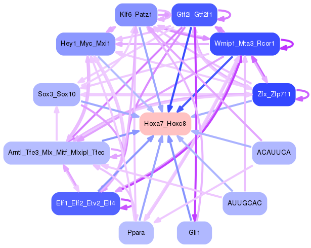 PNG image of the network