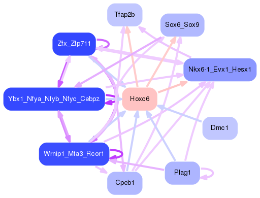 PNG image of the network