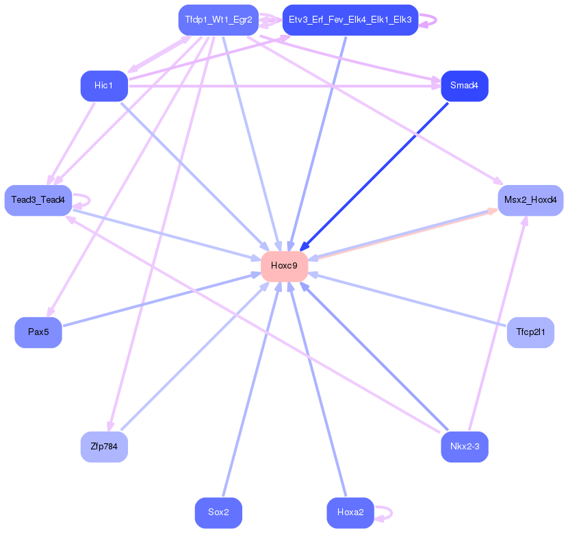 PNG image of the network