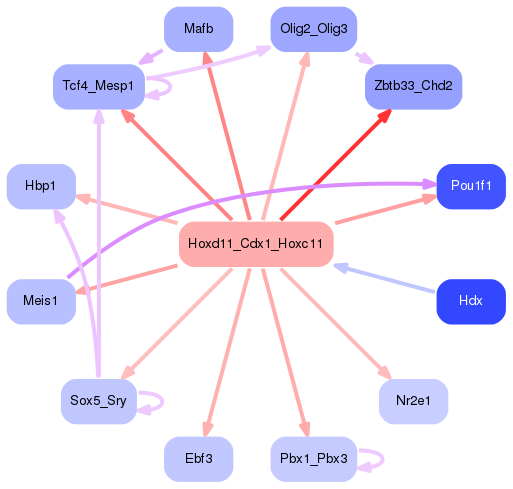 PNG image of the network