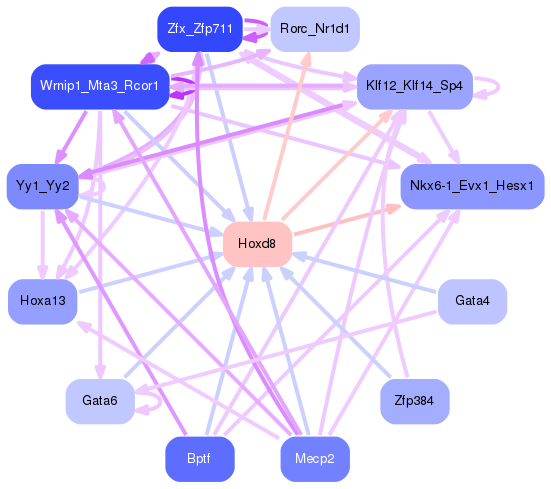 PNG image of the network