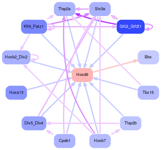 PNG image of the network