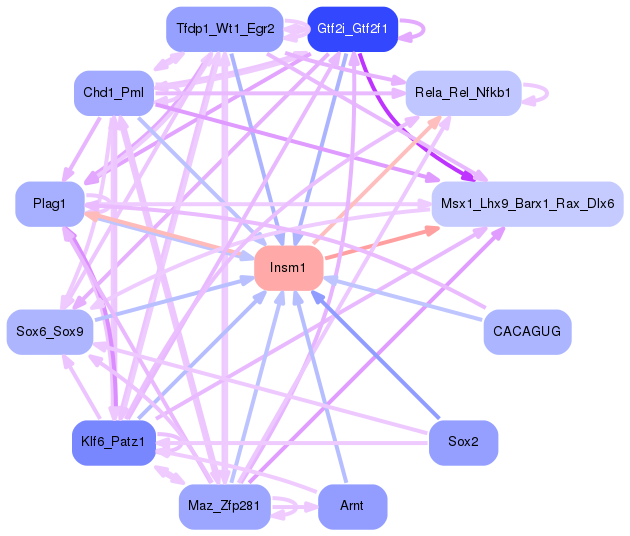 PNG image of the network