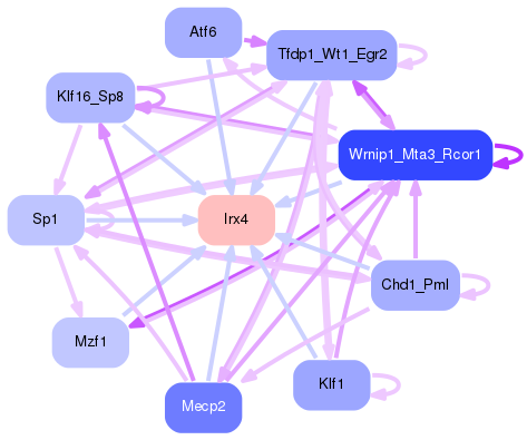 PNG image of the network