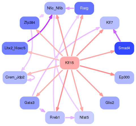 PNG image of the network