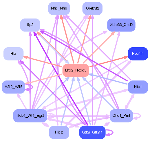 PNG image of the network