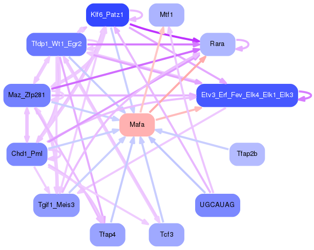 PNG image of the network