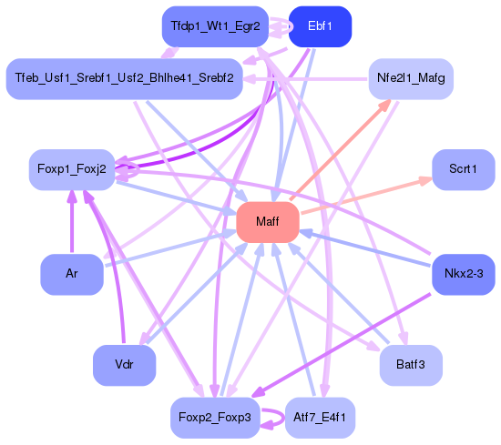 PNG image of the network