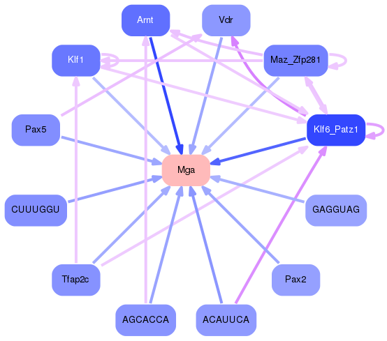 PNG image of the network