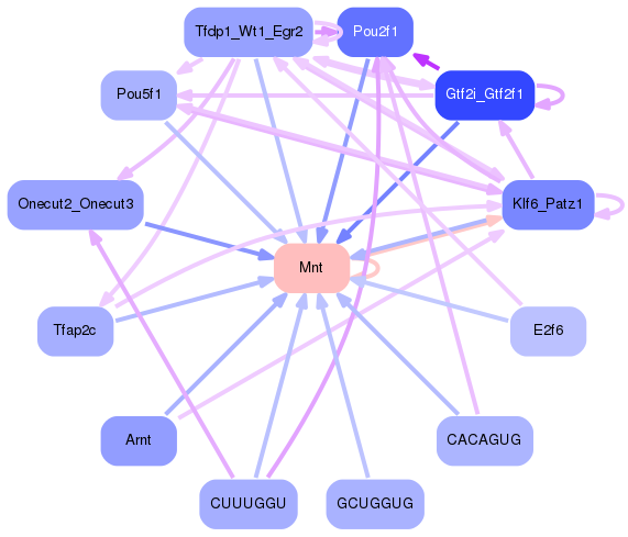 PNG image of the network