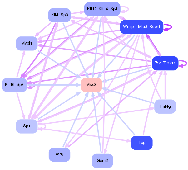 PNG image of the network