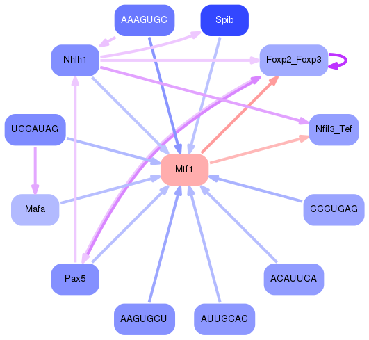PNG image of the network