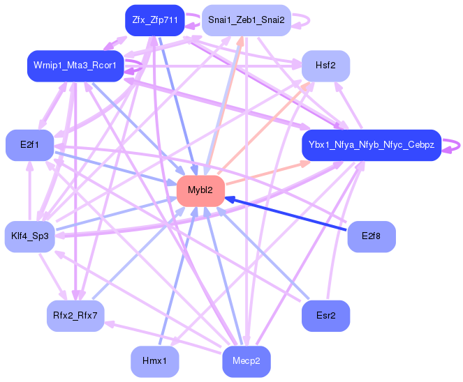 PNG image of the network