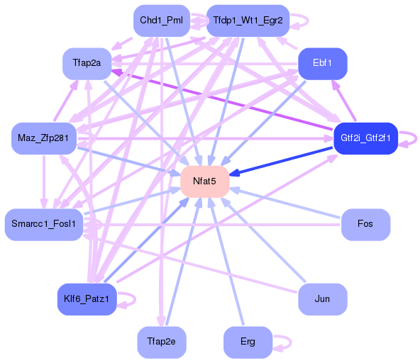 PNG image of the network