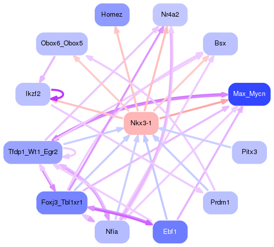 PNG image of the network