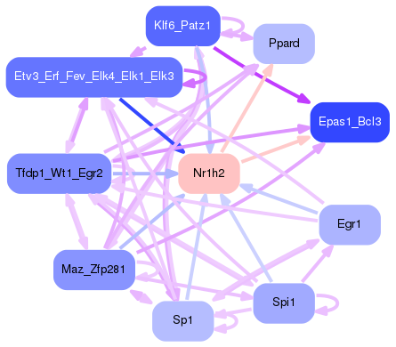 PNG image of the network
