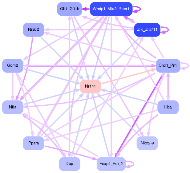 PNG image of the network