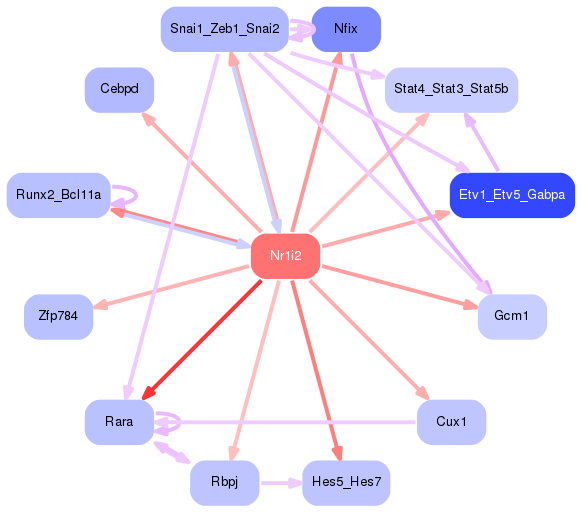 PNG image of the network