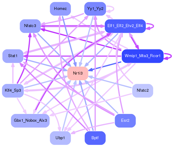 PNG image of the network