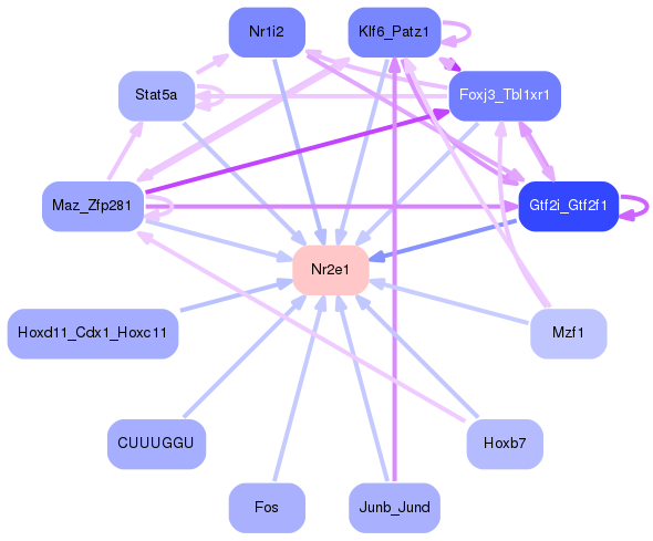 PNG image of the network