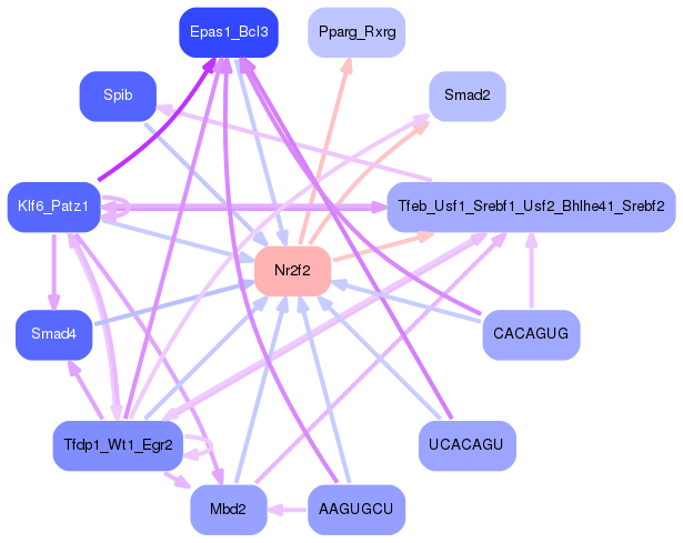 PNG image of the network
