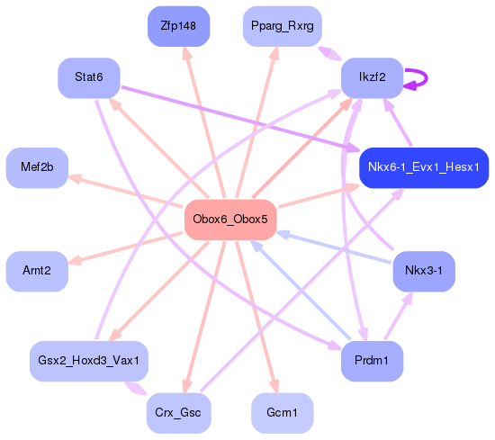 PNG image of the network