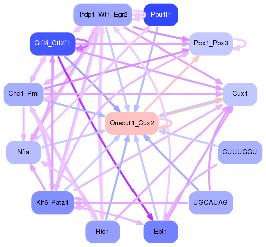 PNG image of the network