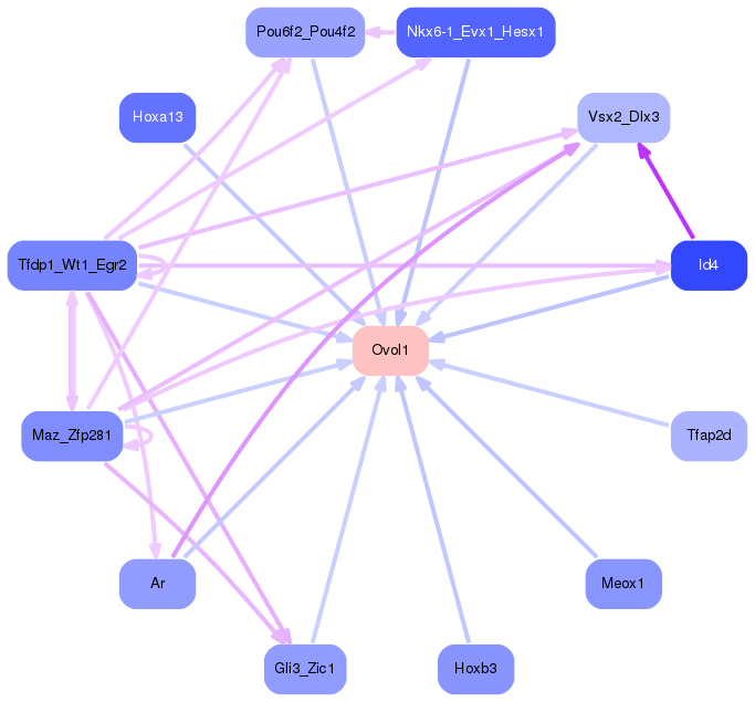PNG image of the network