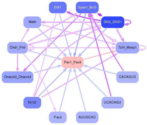 PNG image of the network