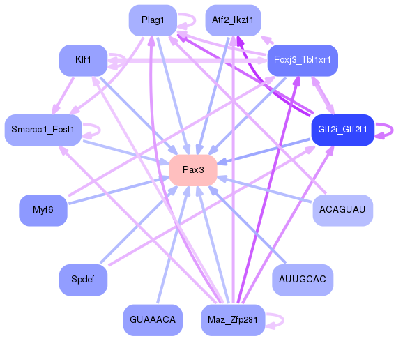 PNG image of the network