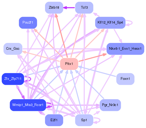 PNG image of the network