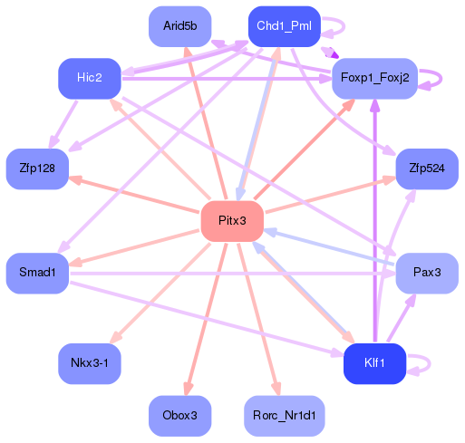 PNG image of the network