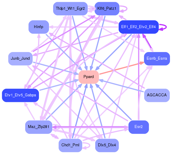 PNG image of the network