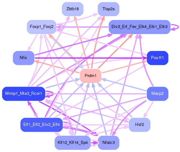 PNG image of the network