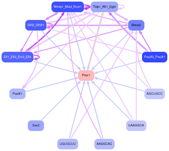 PNG image of the network