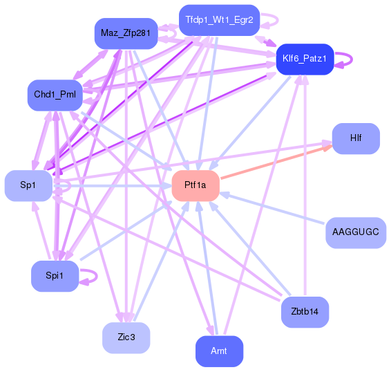 PNG image of the network