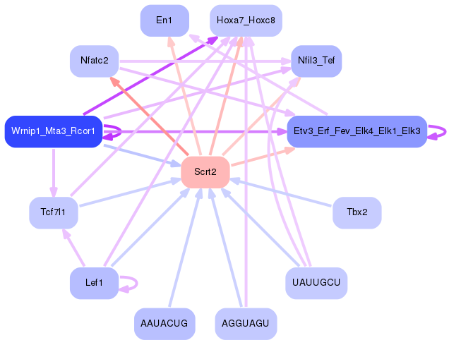 PNG image of the network