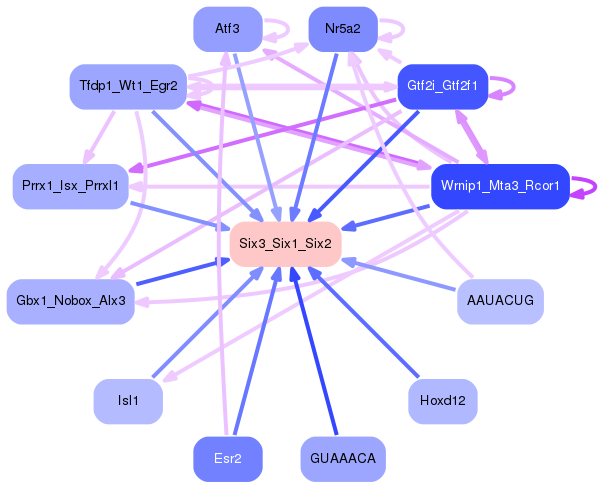 PNG image of the network
