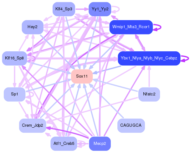 PNG image of the network