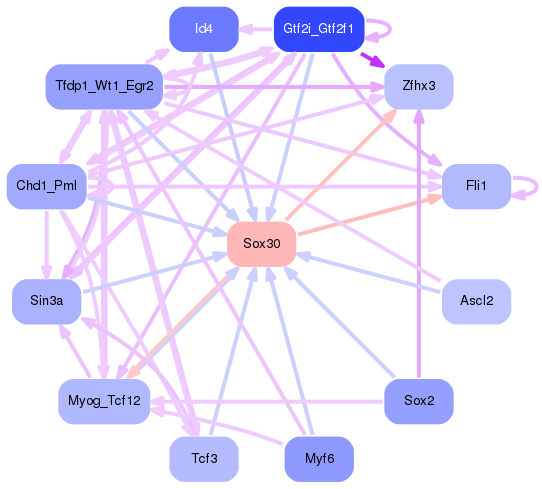 PNG image of the network