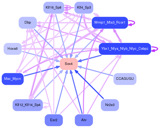 PNG image of the network